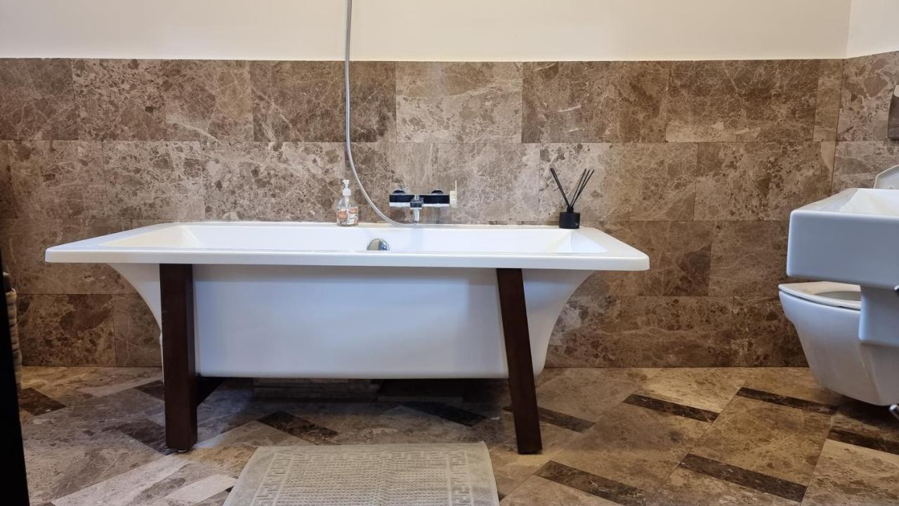 Neuhausz Suite - Ultracentral Timisoara Exterior foto